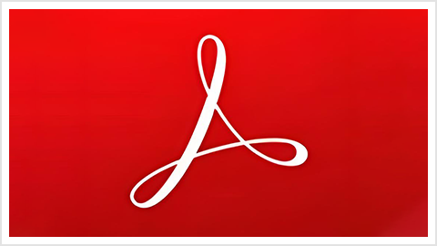Adobe Acrobat Reader DC v26.002.21869