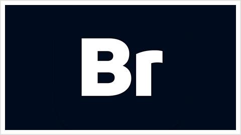 Adobe Bridge 2026 (v16.0.6.9.000) 直装版
